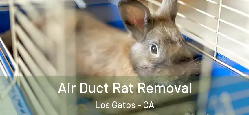  Air Duct Rat Removal Los Gatos - CA