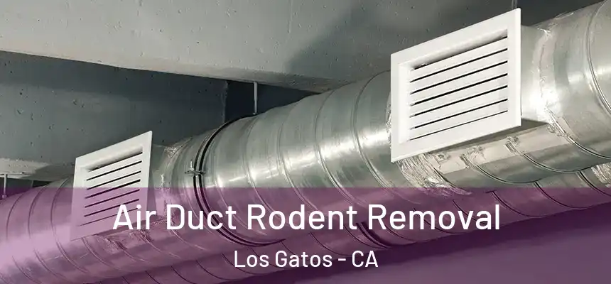  Air Duct Rodent Removal Los Gatos - CA
