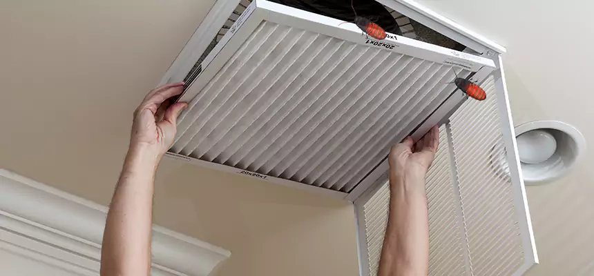Preventive Cockroach-Proofing for Ducts in Los Gatos
