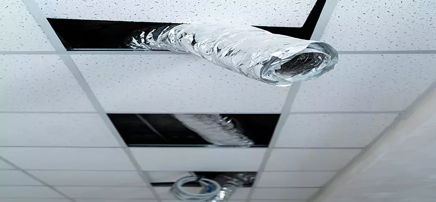 Affordable HVAC Sanitizing After Pest Removal in Los Gatos