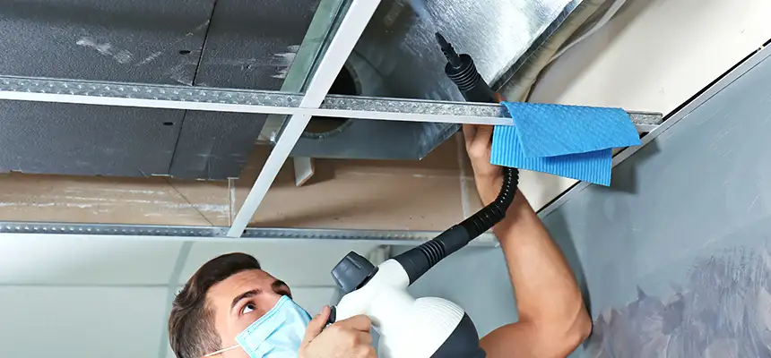 Our Air Duct Rodent Removal Services in Los Gatos, CA