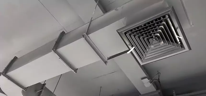 Restorative Allergy Relief Vent Cleaning – Coil, Blower & Housing Detail in Los Gatos