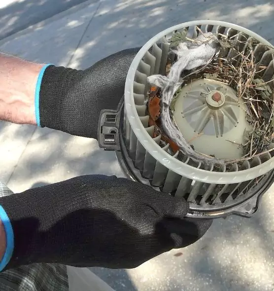 About Air Duct Mice Removal in Los Gatos, CA