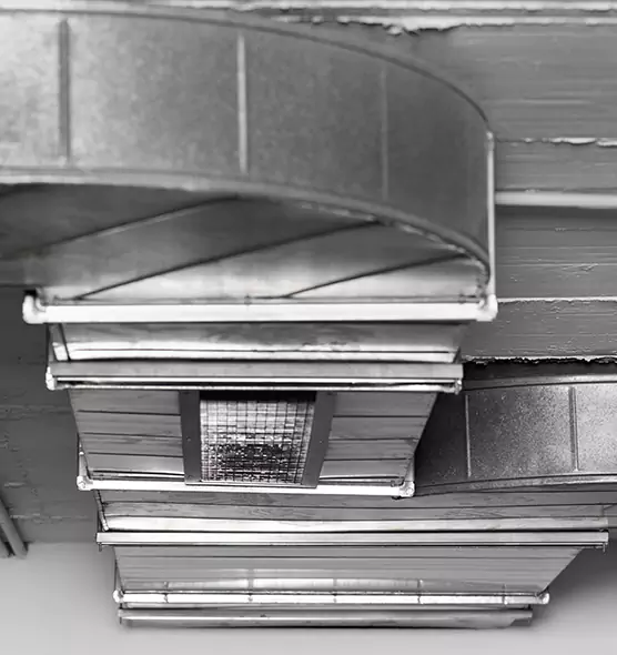 Professional Air Duct Pet Hair Removal in Los Gatos, CA