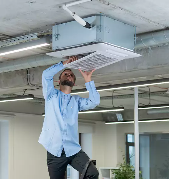 Advanced Rodent Droppings In Vents in Los Gatos, CA