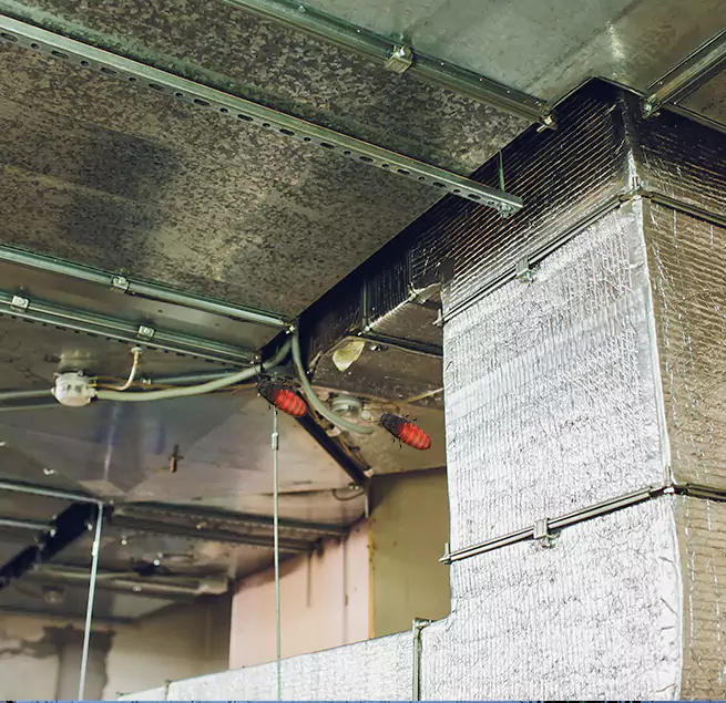 Why Homeowners & Businesses Trust Us in Los Gatos, CA?