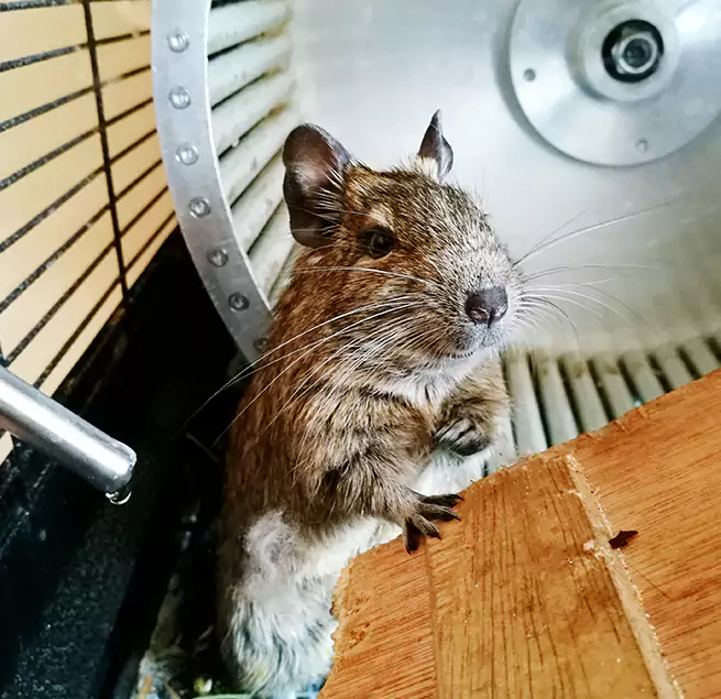 Why Homeowners & Businesses Trust Us Los Gatos, CA?