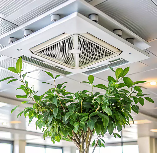 Why Homeowners & Businesses Trust Us in Los Gatos, CA?