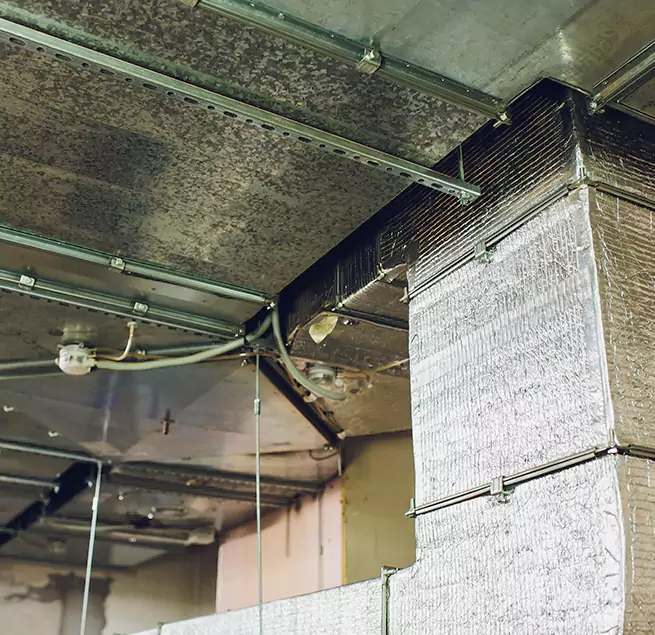 Why Homeowners & Businesses Trust Us in Los Gatos, CA?